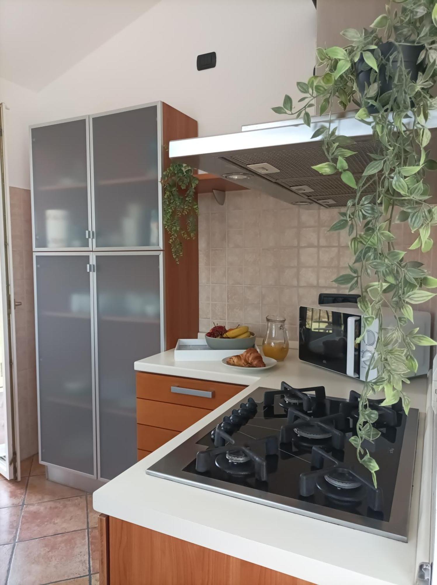 Quick Home Garden Apt Alice Castello エクステリア 写真